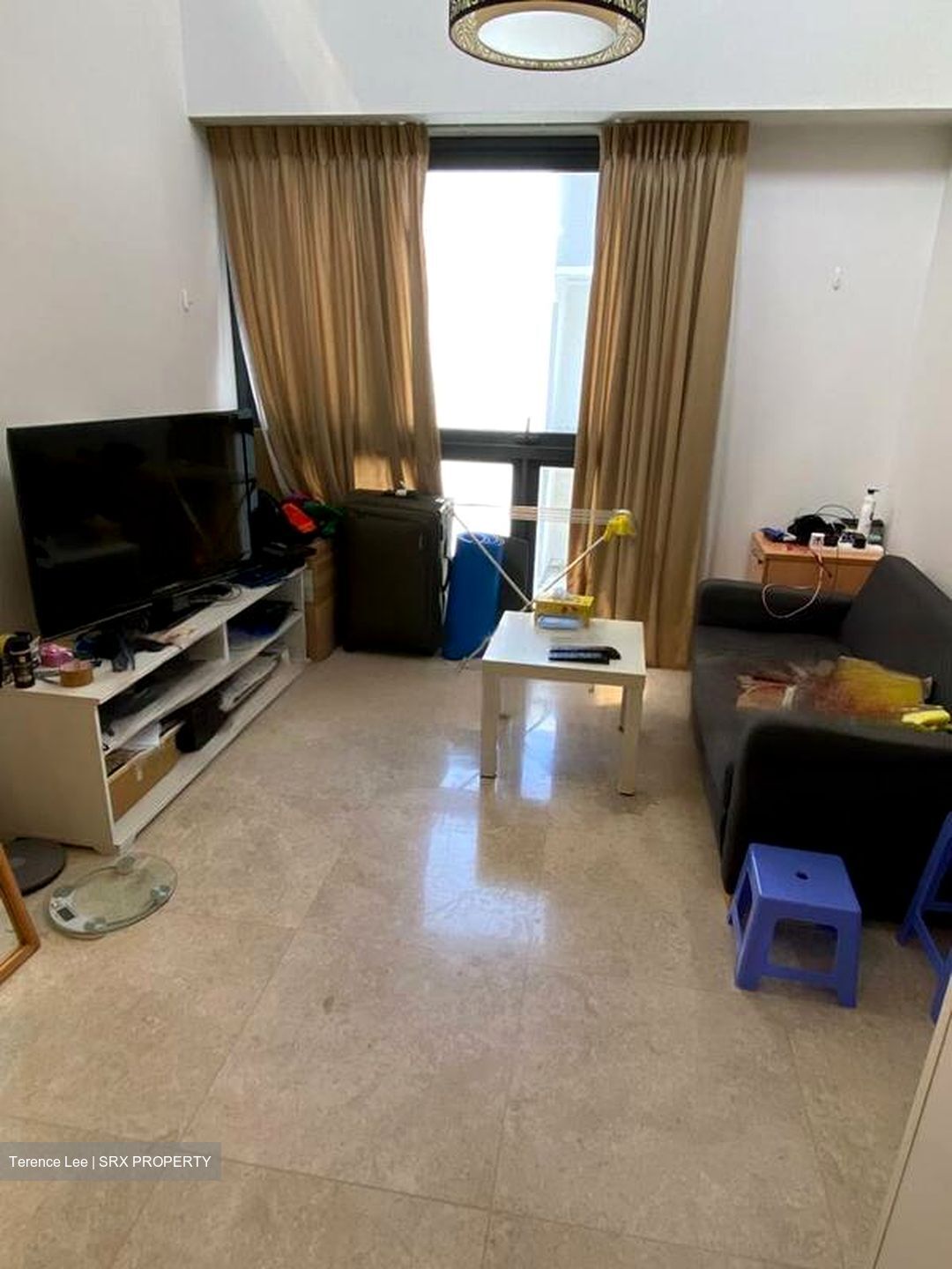 The Lakefront Residences (D22), Condominium #458662151